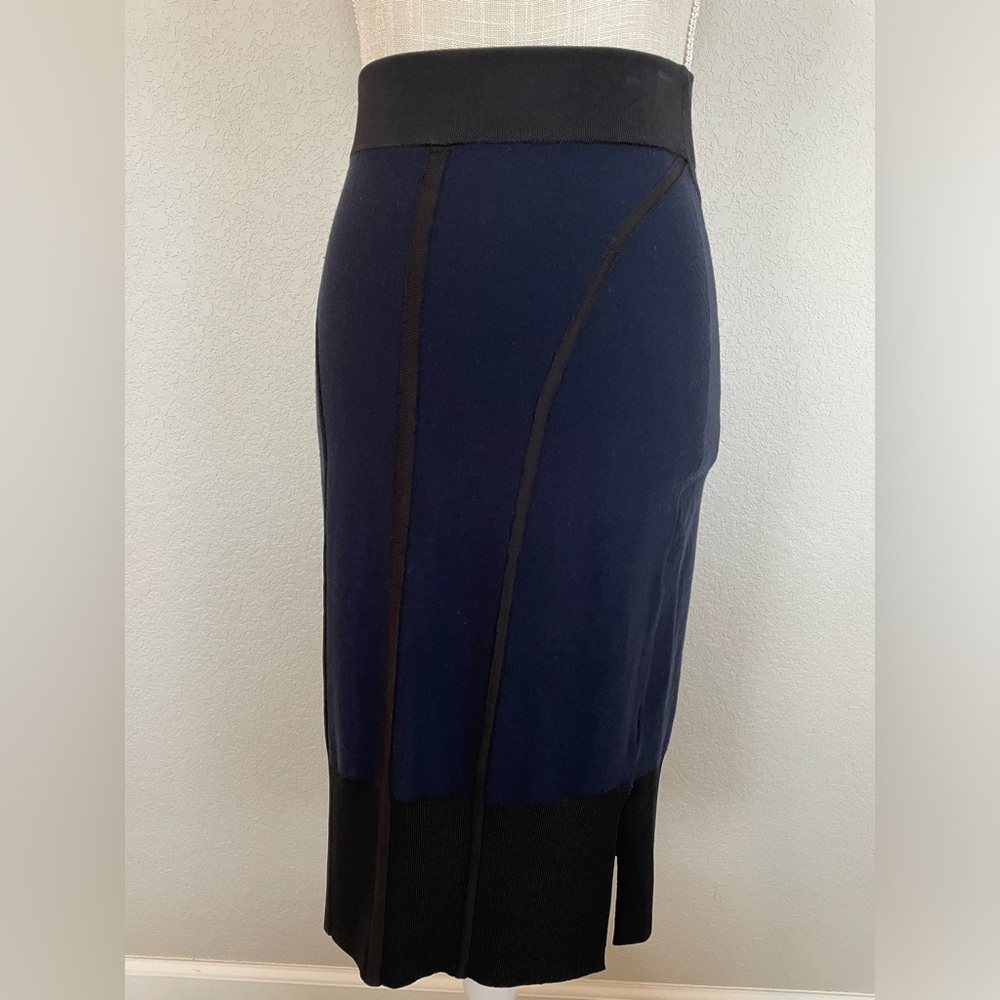 rag & bone skirt